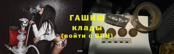 тгк Абаза