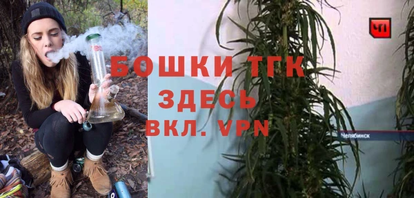 тгк Абаза