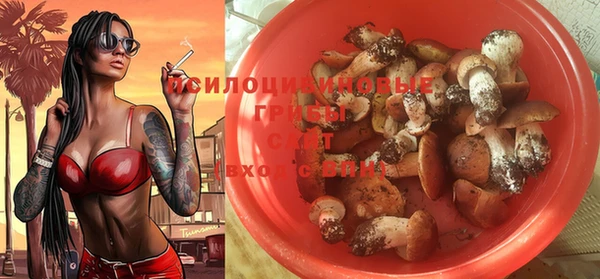 тгк Абаза