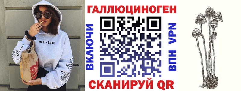 hydra как войти  Керчь  Галлюциногенные грибы Psilocybe  наркота 